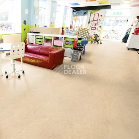Forbo Marmoleum Decibel on Order 271335 calico фото 2 | FLOORDEALER